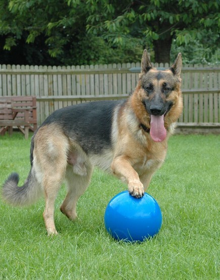 Boomer Ball S - 4" / 11cm niebieska