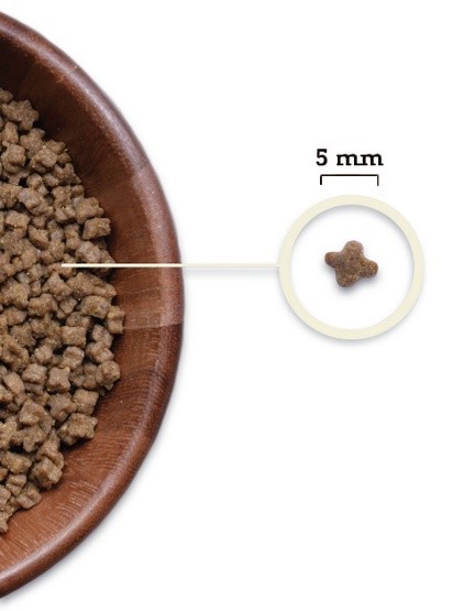 Acana Highest Protein Kitten 1,8kg