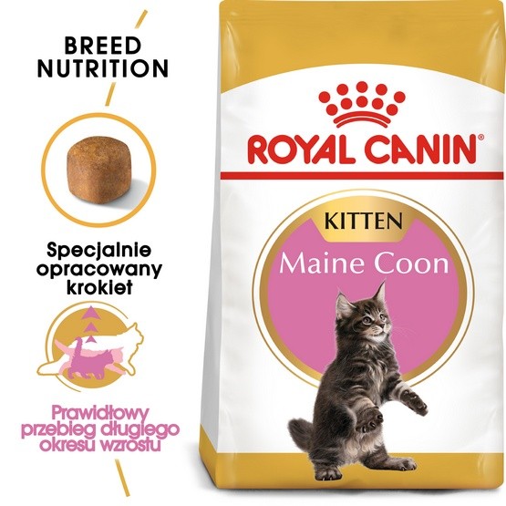 Royal Canin Maine Coon Kitten karma sucha dla kociąt, do 15 miesiąca, rasy...
