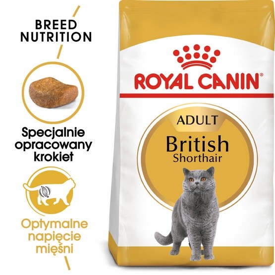 Royal Canin British Shorthair Adult karma sucha dla kotów dorosłych rasy...