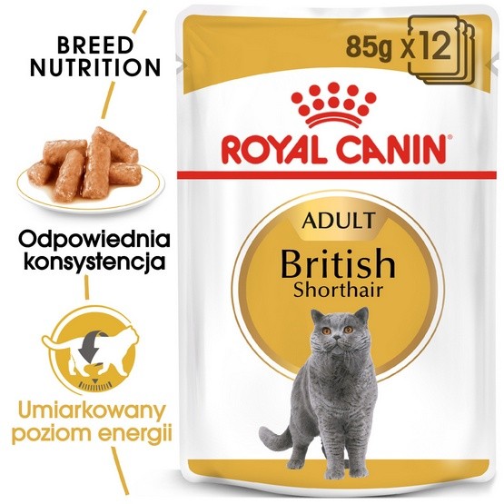 Royal Canin British Shorthair karma mokra w sosie dla kotów dorosłych rasy...
